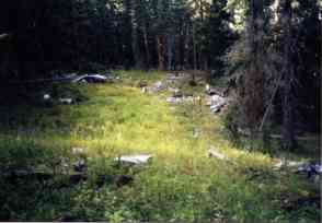 clearing overview of debris