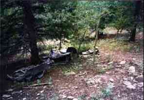 fuselage section under trees