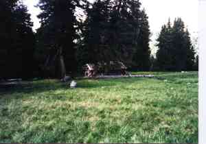sod-roofed cabin