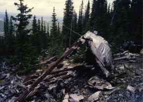 wreckage- steel truss & aluminum. View NE