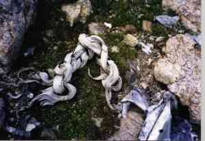 drogue chute webbing