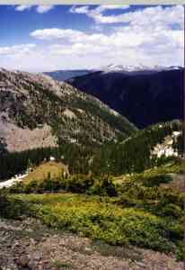 looking down on the meadow