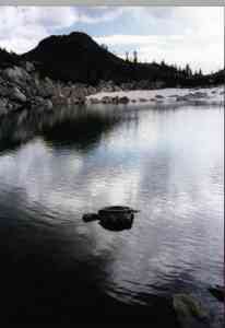 engine lying in water