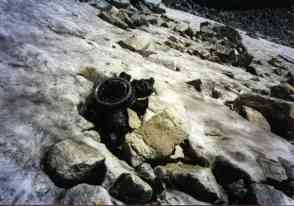 engine poking out of old snow