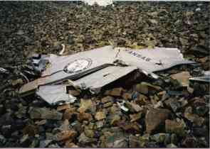rudder w. Kansas ANG shield